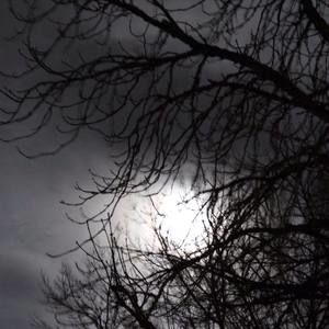 Meet your Posher, Alana